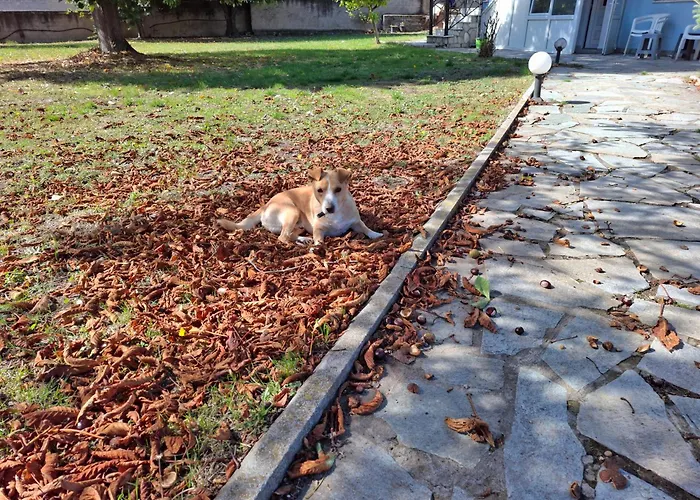 Apartamento Dinaki *